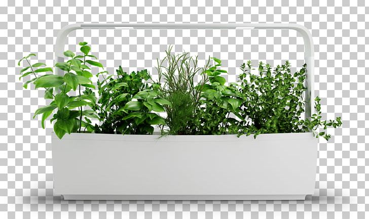 Tregren Kitchen Garden Gardening Hydroponics PNG, Clipart, Entertainment, Flowerpot, Garden, Garden Culture, Gardening Free PNG Download