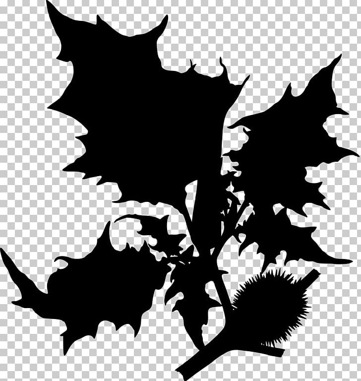 Datura Innoxia Jimsonweed Datura Metel Medicinal Plants PNG, Clipart, Black, Black And White, Botany, Branch, Brugmansia Free PNG Download