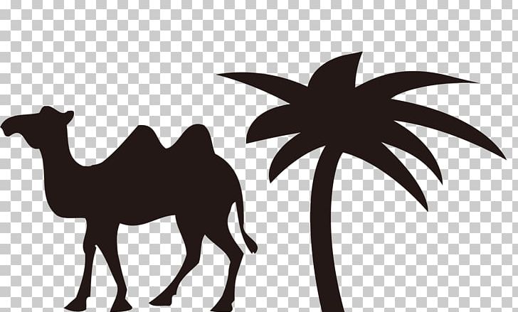 Bactrian Camel Cartoon Sticker Sidewalk Chalk PNG, Clipart, Animals, Balloon Cartoon, Boy Cartoon, Camel, Camel Like Mammal Free PNG Download