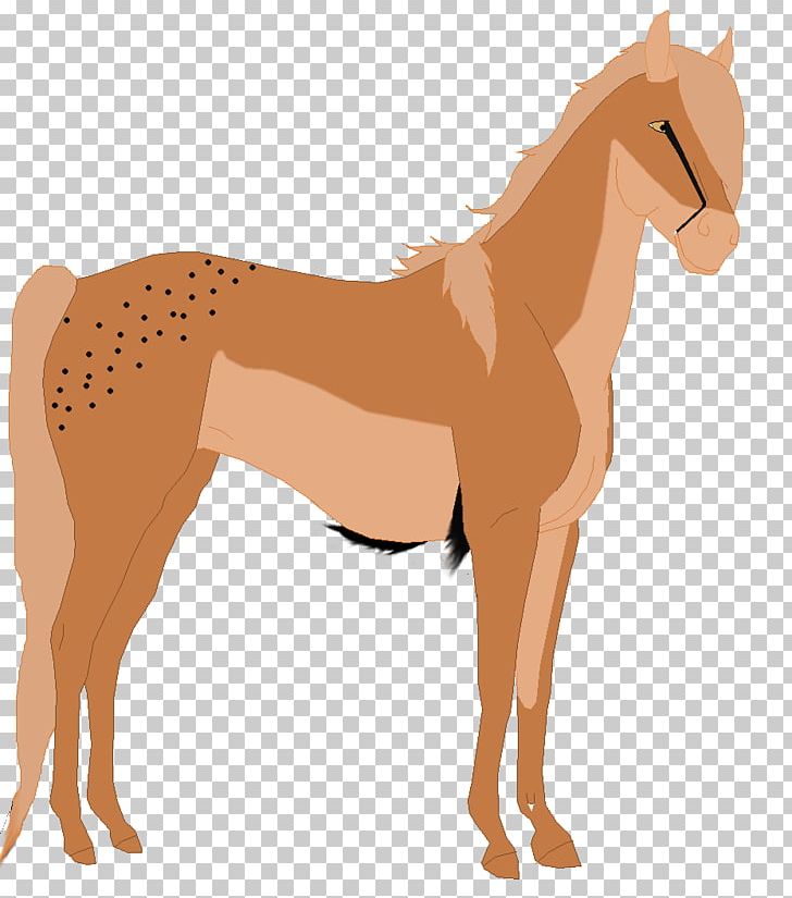 Foal Mane Mare Stallion Colt PNG, Clipart, Bridle, Cartoon, Colt, Foal, Halter Free PNG Download