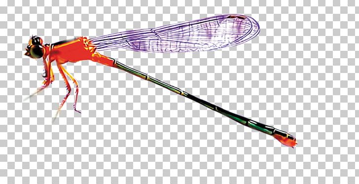Insect Dragonfly Icon PNG, Clipart, Cartoon, Color, Download, Dragonfly, Highdefinition Television Free PNG Download