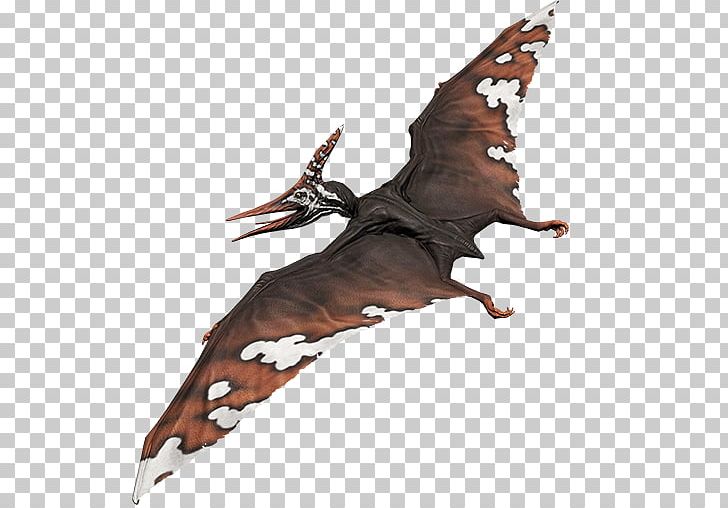 Primal Carnage: Extinction Wing Feather Steam Community PNG, Clipart, Carnage, Collar, Dust Storm, Extinction, Feather Free PNG Download