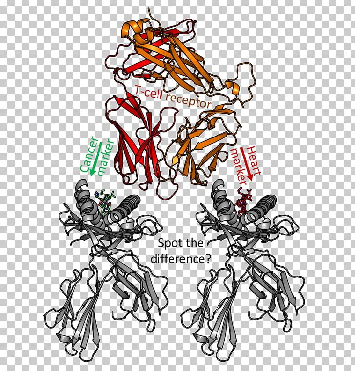 Cancer Immunotherapy Immune System T-cell Receptor PNG, Clipart, Animal Figure, Artwork, Cancer, Cancer Cell, Cancer Immunotherapy Free PNG Download