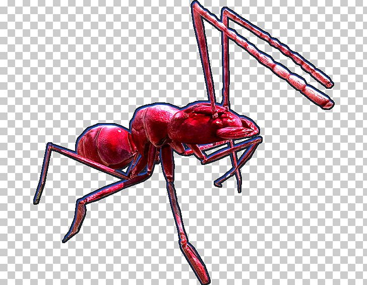 Earth Defense Force 4.1 – The Shadow Of New Despair Ant Insect Earth Defense Force 2017 Global Defence Force PNG, Clipart, Ant, Arthropod, Black Ant, Decapoda, Earth Defense Force Free PNG Download