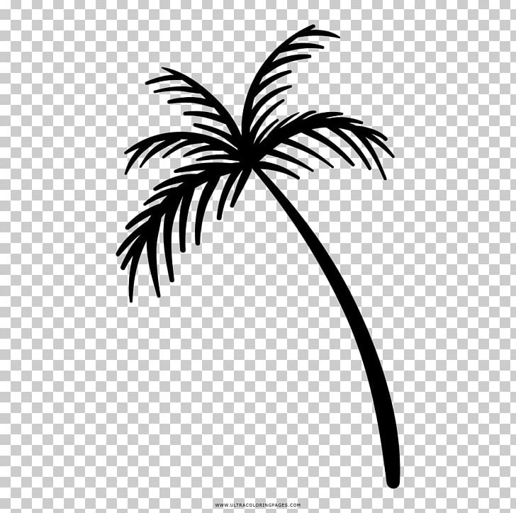 Arecaceae Drawing Coloring Book Cafe Loka PNG, Clipart, Arecaceae, Arecales, Black And White, Book, Branch Free PNG Download
