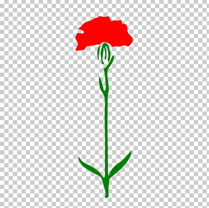 Carnation PNG, Clipart, Artwork, Carnation, Cut Flowers, Download, Flora Free PNG Download