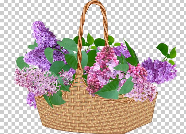 Flower Lilac PNG, Clipart, Floral Design, Flower, Flowerpot, Gift, Gift Basket Free PNG Download