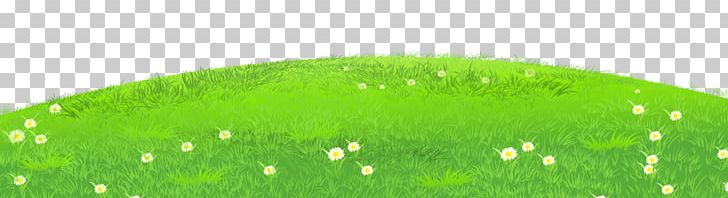 Grasses PNG, Clipart, Artificial Turf, Border, Chamomile, Clip Art, Cliparts Grass Border Free PNG Download