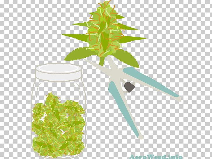 Harvest Cannabis Plants Leaf Nutrient PNG, Clipart, Bud, Cannabis, Crop, Dose, Harvest Free PNG Download