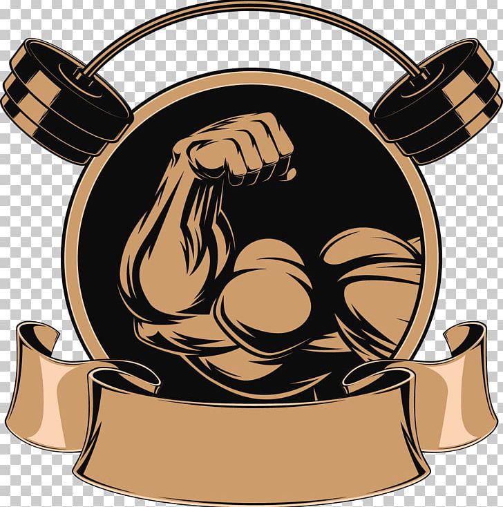Fitness Centre Bodybuilding Weight Training Physical Fitness PNG, Clipart, Baby Barbell, Barbel, Barbell, Barbell 27 2 1, Barbells Free PNG Download