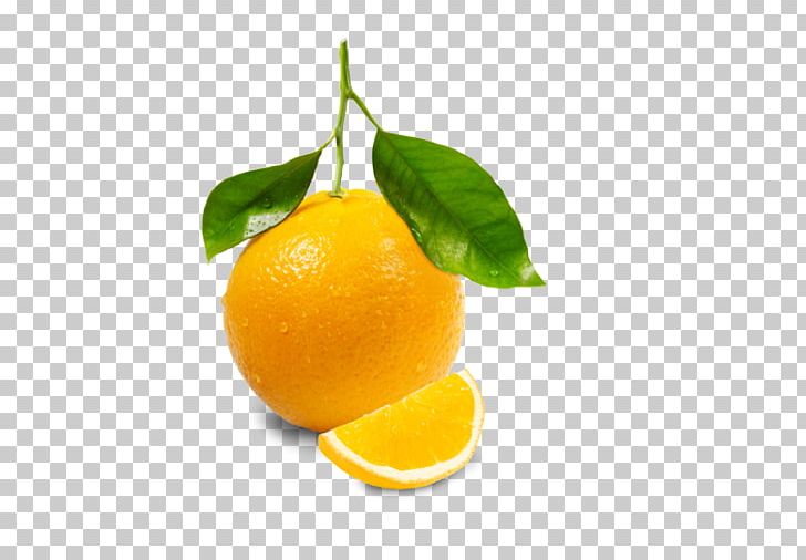 Orange Juice Juicer Lemon Squeezer Grapefruit Juice PNG, Clipart, Bitter Orange, Calamondin, Chenpi, Cit, Citrus Free PNG Download