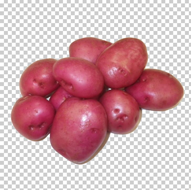 Potato Cranberry Red Pontiac Food Izambane PNG, Clipart, Berry, Citrus, Cranberry, Dish, Food Free PNG Download
