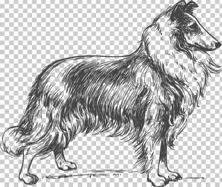 Rough Collie Puppy Border Collie Lassie PNG, Clipart, Animal, Art Notebook, Black And White, Book, Border Collie Free PNG Download