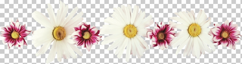 Cut Flowers Flower Pink Plant Petal PNG, Clipart, Cut Flowers, Floral Line, Flower, Flower Background, Flower Border Free PNG Download