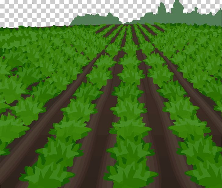 Euclidean Field Illustration PNG, Clipart, Agriculture, Arable Land, Biome, Crop, Download Free PNG Download
