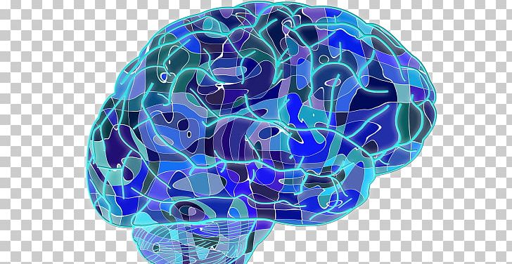 Brain Machine Learning Nervous System Unconscious Mind Neuroscience PNG, Clipart,  Free PNG Download