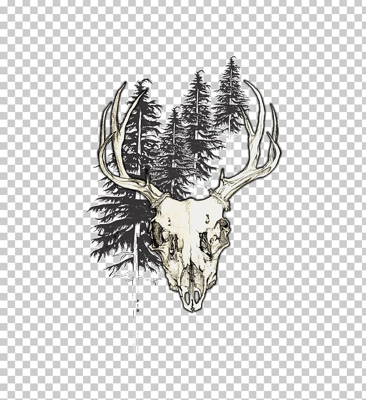 Deer Design By Humans /m/02csf Antler PNG, Clipart,  Free PNG Download