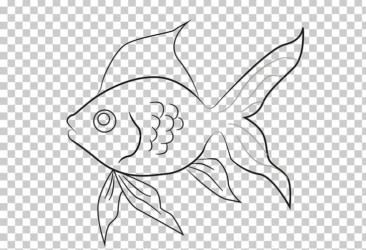 Drawing USMLE Step 3 Line Art Goldfish PNG, Clipart, Animal, Artwork, Beak, Black And White, Cartoon Free PNG Download
