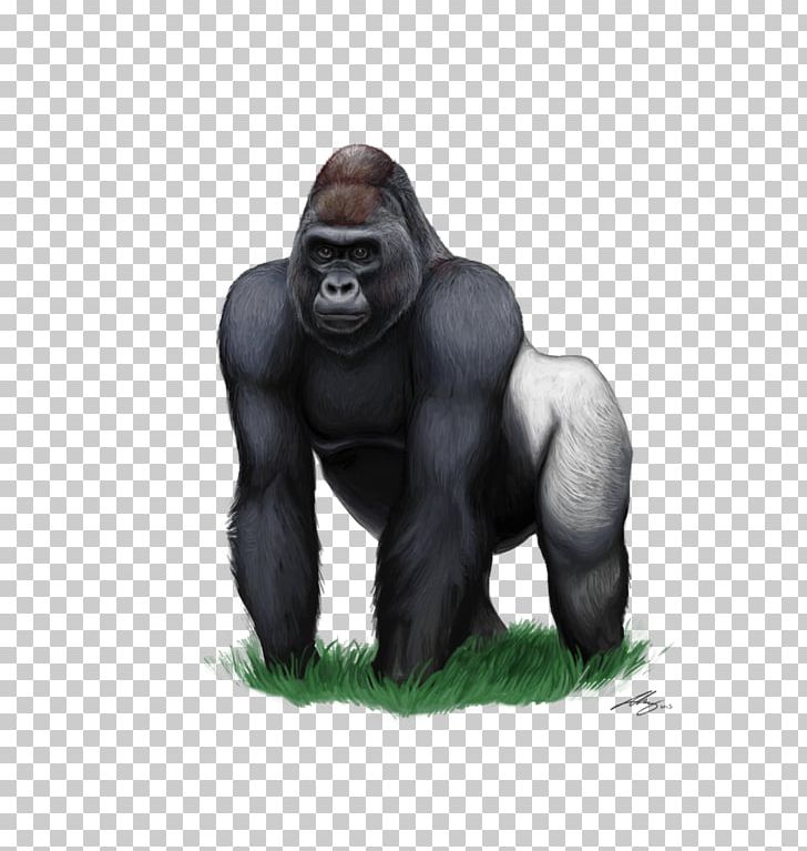Mountain Gorilla PNG, Clipart, Animals, Ape, Cartoon, Cartoon Gorilla, Clip Art Free PNG Download