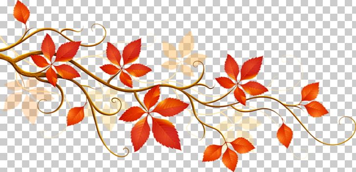 Autumn Leaf Color Flower PNG, Clipart, Autumn, Autumn Leaf, Branch, Branches And Leaves, Cartoon Free PNG Download