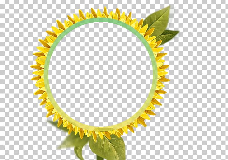 Common Sunflower Frame High-definition Television PNG, Clipart, Avatar, Border, Border Frame, Certificate Border, Christmas Border Free PNG Download