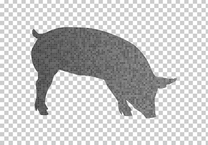 Pig Hippopotamus Sticker Gray Wolf PNG, Clipart, Animal, Animals, App, Black, Black And White Free PNG Download