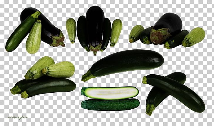 Vegetable Eggplant Food Zucchini PNG, Clipart, Cucurbita, Digital Image, Eggplant, Food, Pattypan Squash Free PNG Download