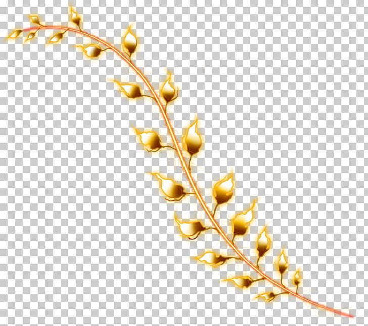 Vignette Photography PNG, Clipart, Branch, Commodity, Download, Grass Family, Miscellaneous Free PNG Download