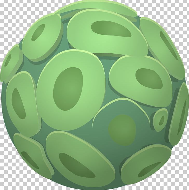 Green Algae Plant Cell PNG, Clipart, Algae, Biology, Cell, Chlorella, Circle Free PNG Download