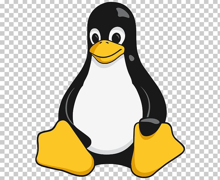 Tux Racer Penguin Linux Foundation PNG, Clipart, Beak, Bird, Flightless Bird, Gnu Compiler Collection, Imagemagick Free PNG Download
