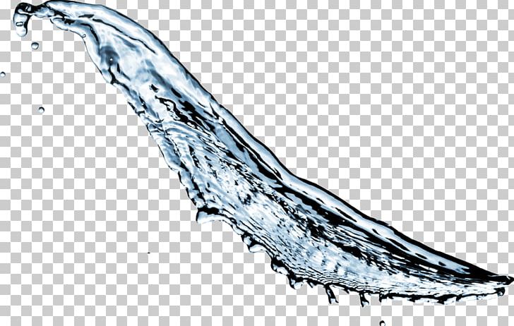 Water Illustration PNG, Clipart, Black And White, Cold Weapon, Download, Drop, Dynamic Free PNG Download
