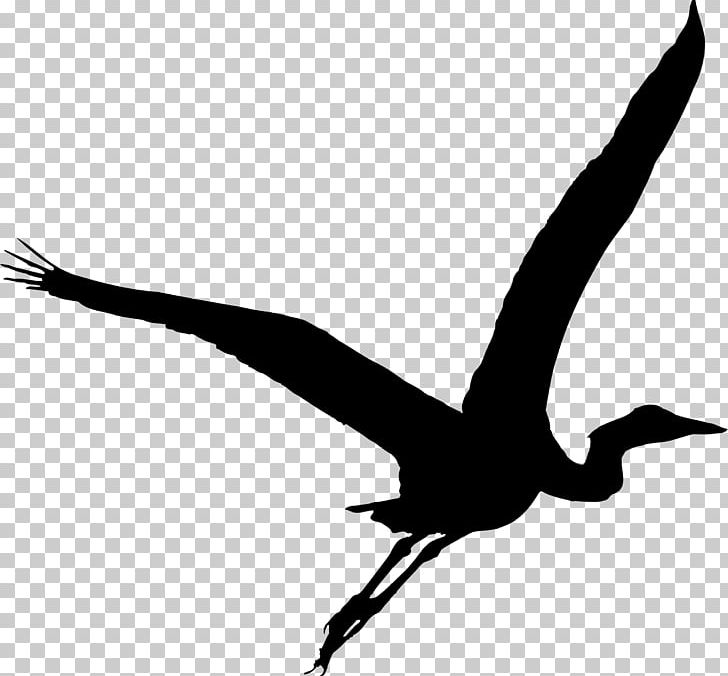Great Blue Heron Silhouette Green Heron PNG, Clipart, Animals, Beak, Bird, Black And White, Crane Free PNG Download