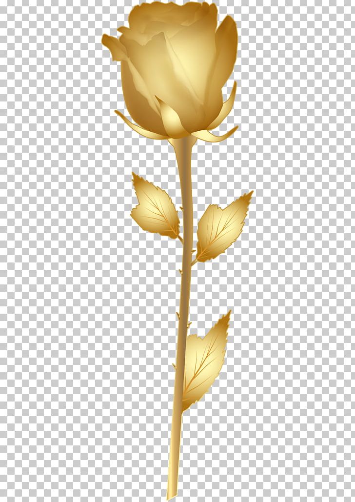 Rose Gold Flower PNG, Clipart, Blue Rose, Clip Art, Color, Cut Flowers, Desktop Wallpaper Free PNG Download