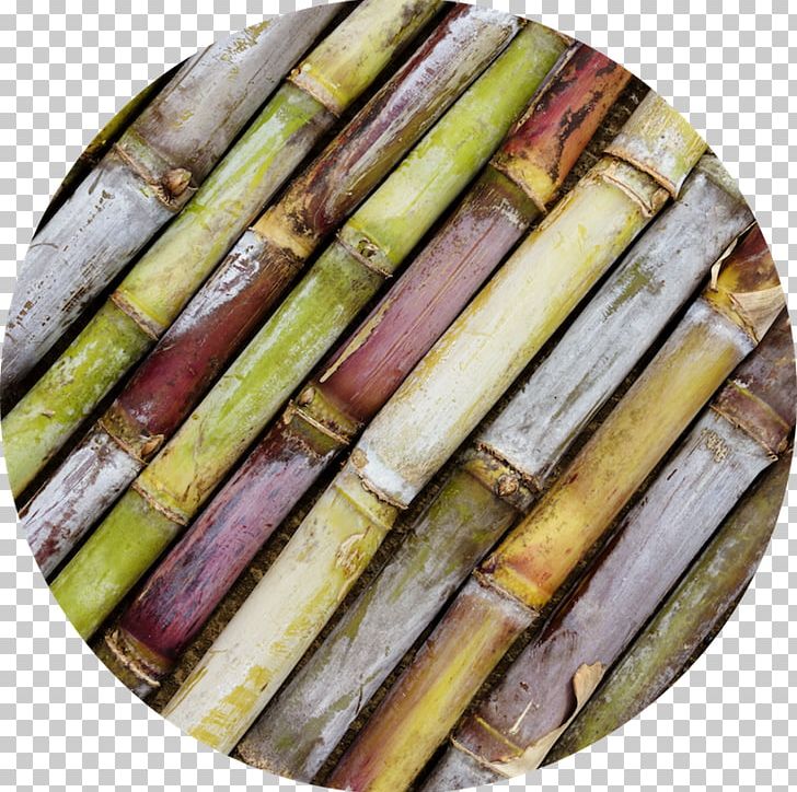 Sugarcane Cane Sugar Fotolia Variety 1-Octacosanol PNG, Clipart, 1octacosanol, Agriculture, Banco De Imagens, Cane Sugar, Food Free PNG Download