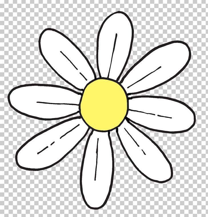 Common Daisy Flower PNG, Clipart, Area, Artwork, Black And White, Chamomile, Circle Free PNG Download