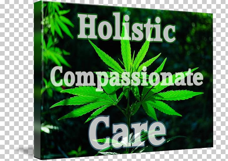 Gallery Wrap Kind Canvas Hemp Art PNG, Clipart, Art, Cannabaceae, Cannabis, Canvas, Drug Free PNG Download
