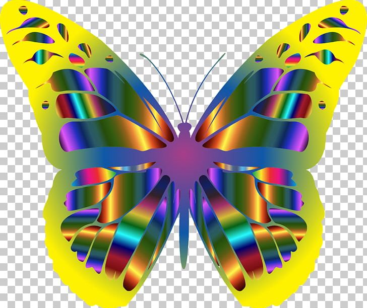 Monarch Butterfly Color PNG, Clipart, Arthropod, Brush Footed Butterfly, Butterfly, Color, Computer Icons Free PNG Download