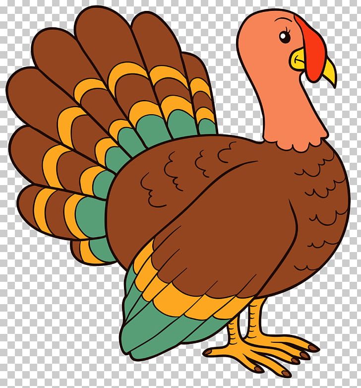 Turkey Meat PNG, Clipart, Beak, Bird, Blog, Chicken, Computer Free PNG Download