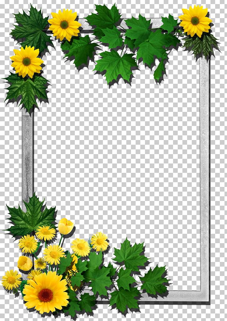 Frames Flower PNG, Clipart, Annual Plant, Border Frames, Chamaemelum Nobile, Chrysanths, Cut Flowers Free PNG Download