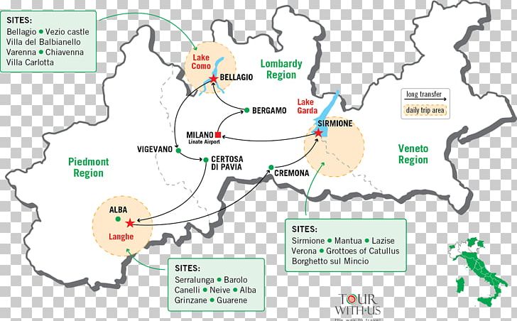 Map Tree Line Tuberculosis Turkish PNG, Clipart, Area, Diagram, Line, Map, Organism Free PNG Download