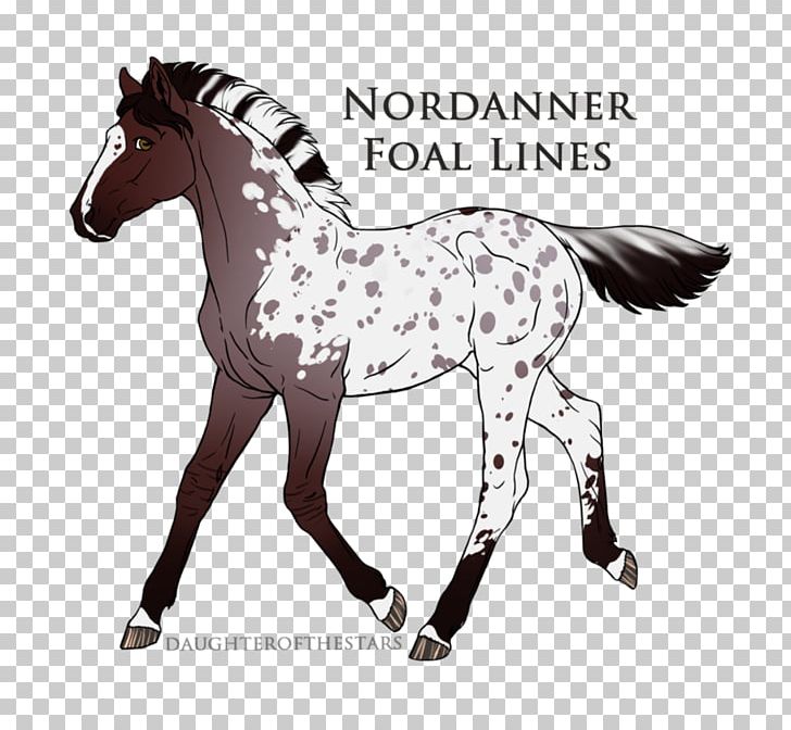 Mustang Foal Stallion Colt Mare PNG, Clipart, Animal Figure, Bridle, Colt, Foal, Halter Free PNG Download