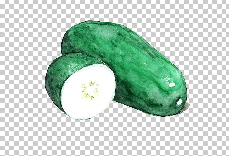 Vegetable Watercolor Painting Wax Gourd Vegetarian Cuisine PNG, Clipart, Cartoon, Color, Cucumber, Cucumber Gourd And Melon Family, Cucumis Free PNG Download
