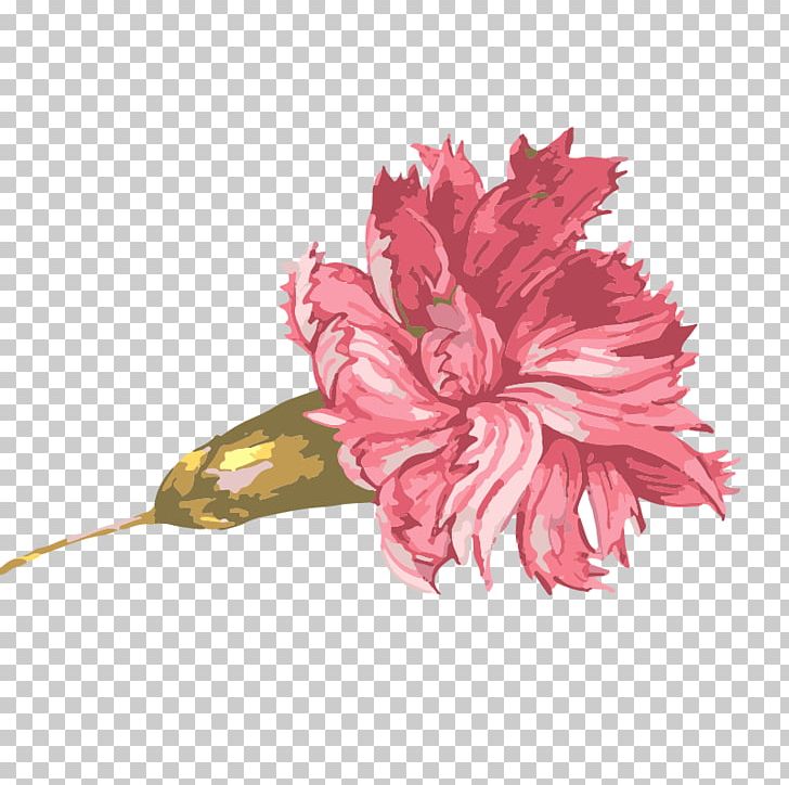 Watercolor Painting Illustration PNG, Clipart, Carnation, Cut Flowers, Designer, Download, Effect Free PNG Download