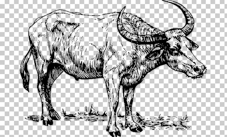 Mammal Cow Goat Family Vertebrate PNG, Clipart, Animal Figure, Art, Black And White, Blog, Bull Free PNG Download