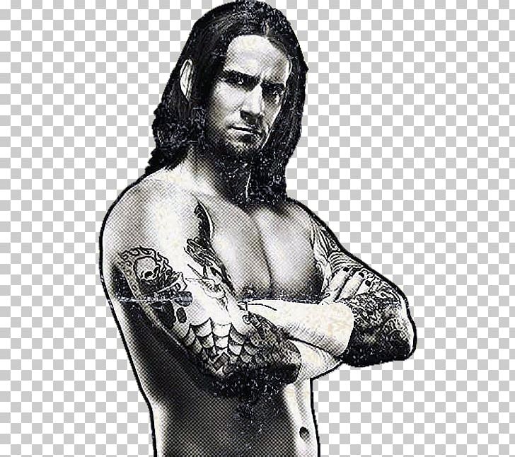 CM Punk WWE Professional Wrestling Ring Of Honor Impact Wrestling PNG, Clipart, Aj Lee, Alberto Del Rio, Alex Riley, Arm, Beard Free PNG Download