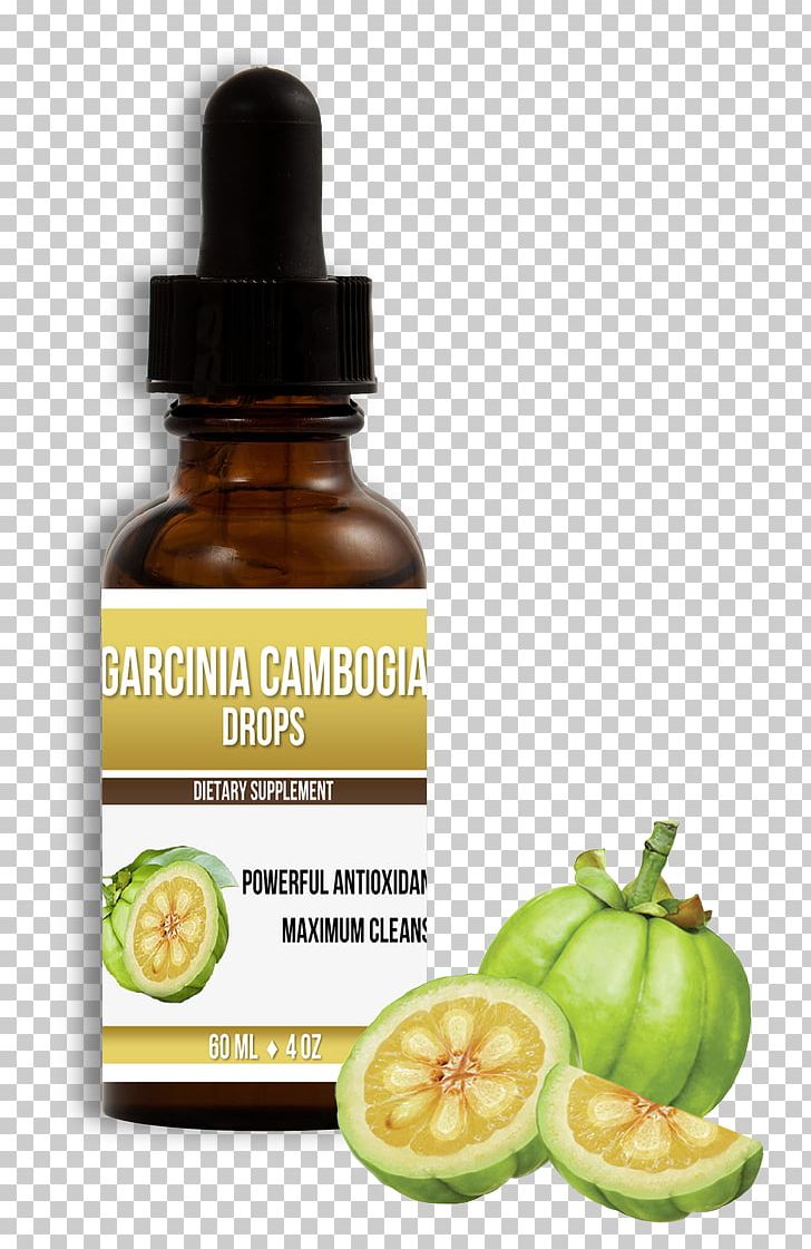 Dietary Supplement Garcinia Gummi-gutta Hydroxycitric Acid Health Weight Loss PNG, Clipart, Asam Gelugur, Conjugated Linoleic Acid, Diet, Dietary Supplement, Dieting Free PNG Download