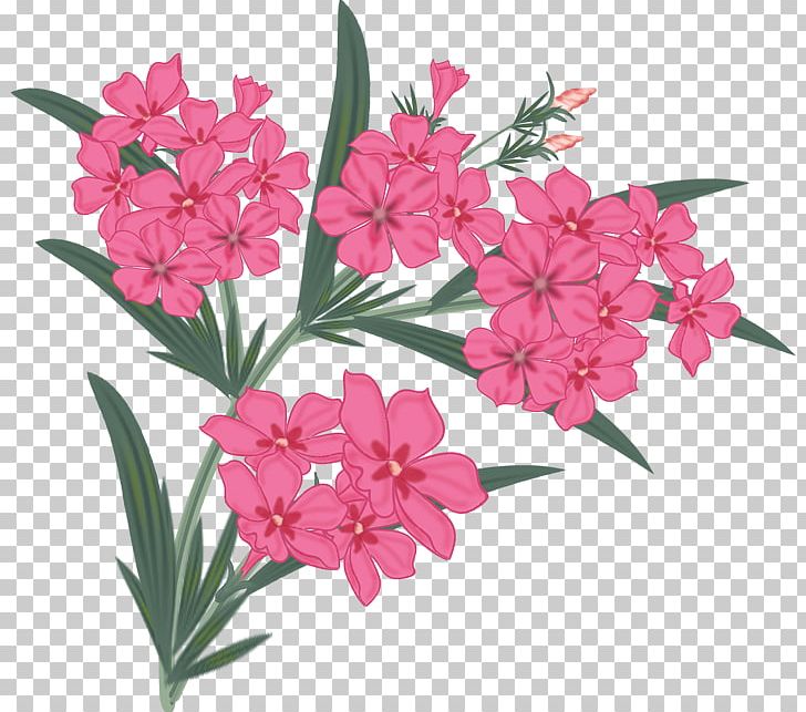 Floral Design Painting Flower PNG, Clipart, Cut Flowers, Decoupage, Deviantart, Dianthus, Embroidered Patch Free PNG Download