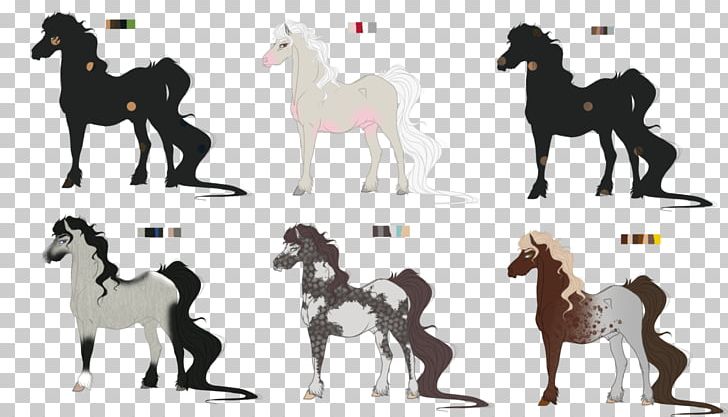 Mustang Foal Stallion Mare Halter PNG, Clipart,  Free PNG Download