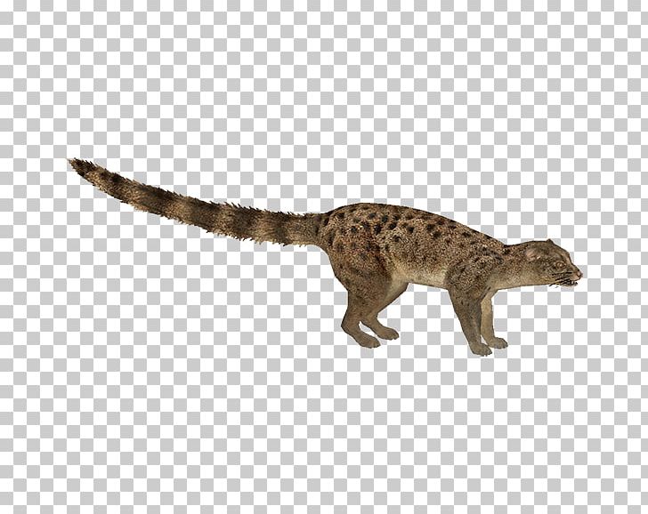 Viverridae Velociraptor Tyrannosaurus Reptile Dinosaur PNG, Clipart, Animal, Animal Figure, Animals, Big Cat, Big Cats Free PNG Download