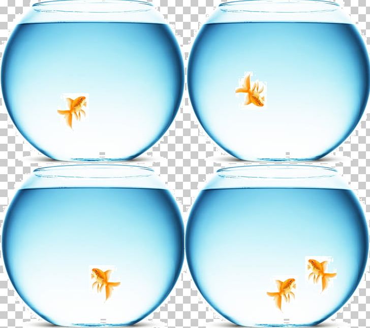 Water Liquid Table-glass Animal PNG, Clipart, Animal, Drinkware, Glass, Liquid, Real Estate Boards Free PNG Download